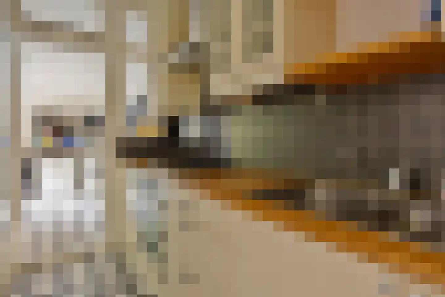 Oudelandsedijk 45 Sommelsdijk thumbnail 4