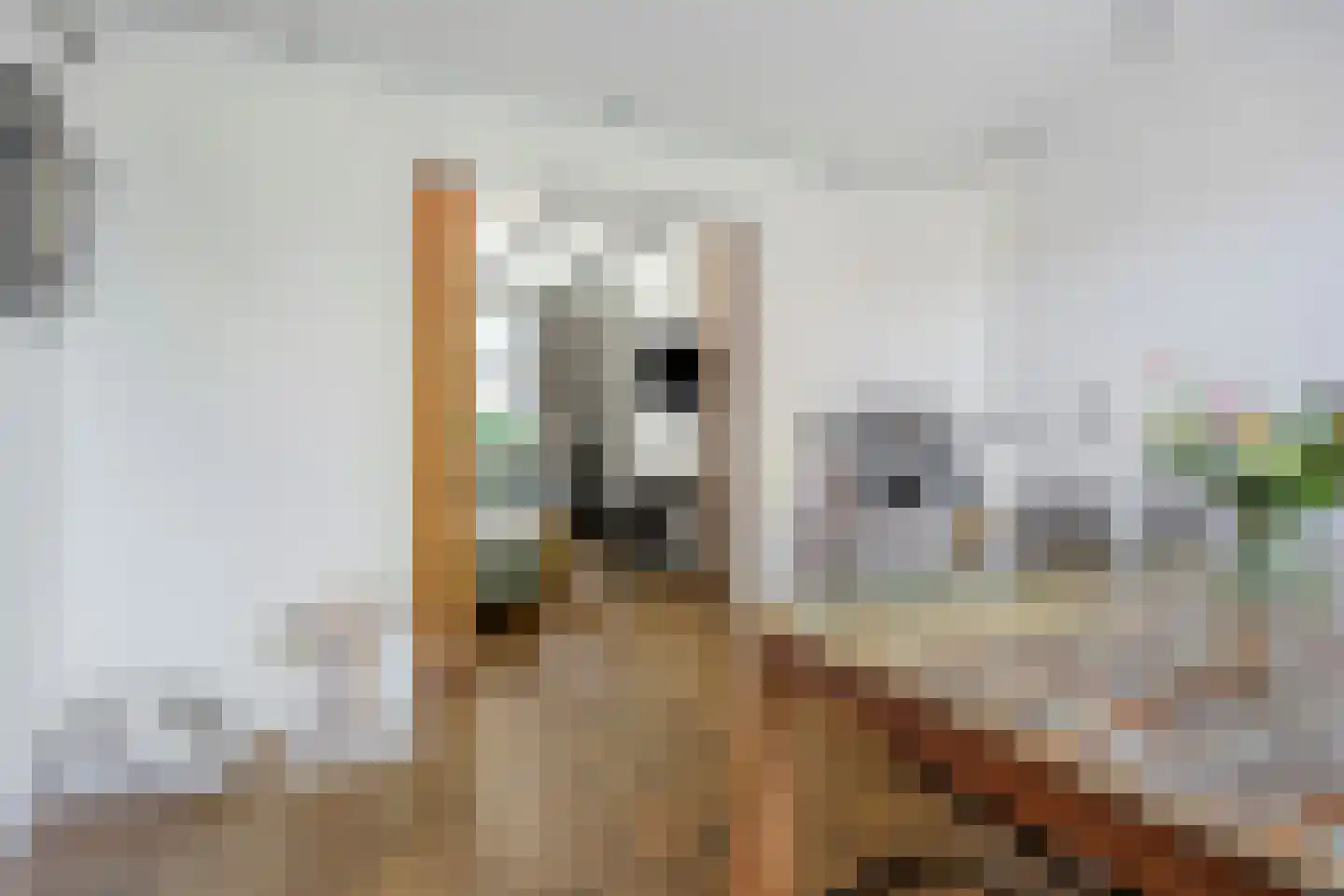 Oudelandsedijk 45 Sommelsdijk thumbnail 9