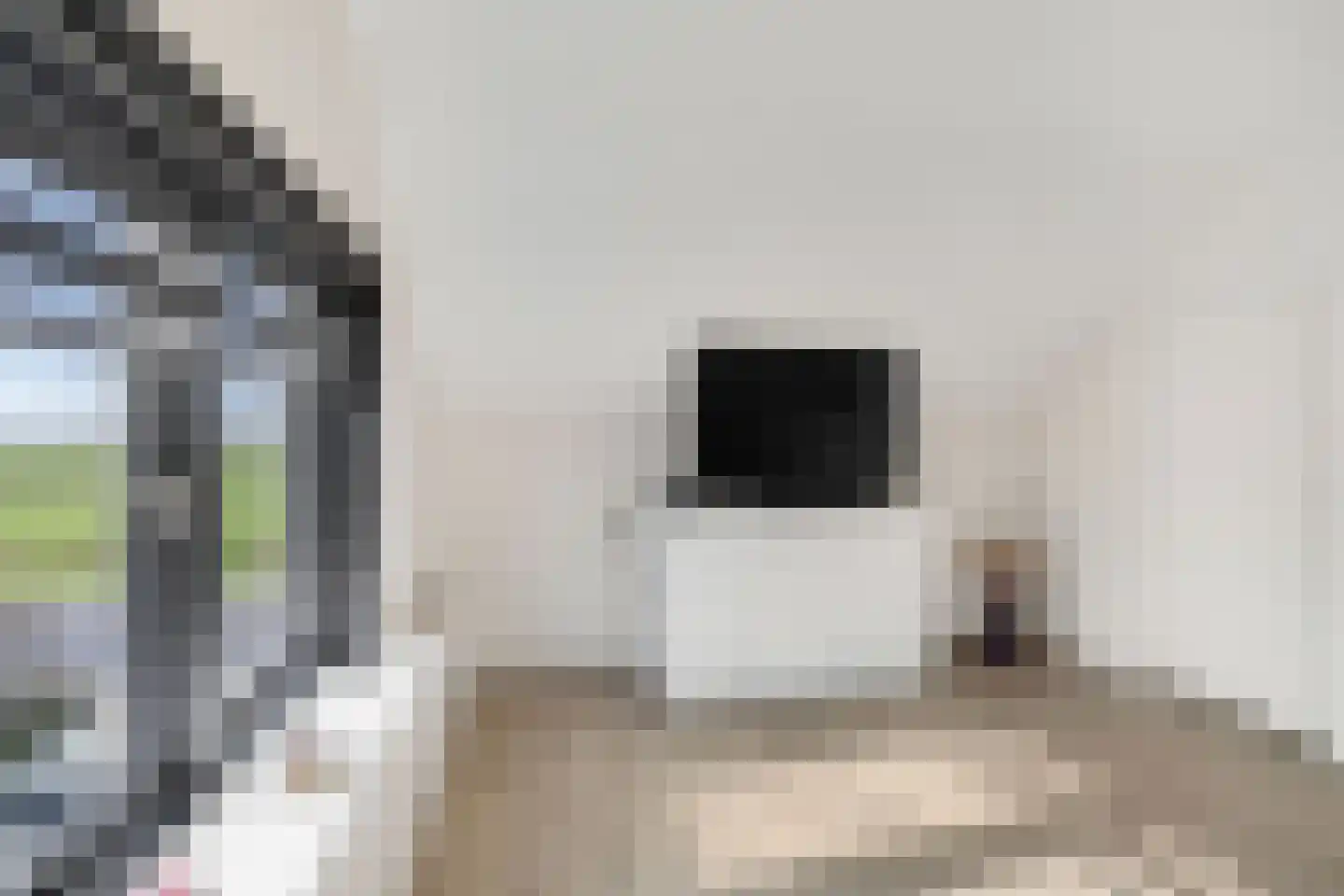 Oudelandsedijk 53 Abbenbroek thumbnail 27