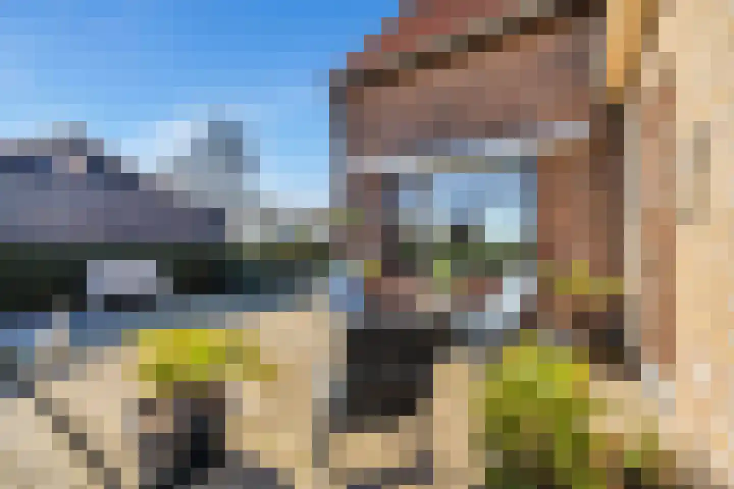 Oudelandsedijk 53 Abbenbroek thumbnail 30