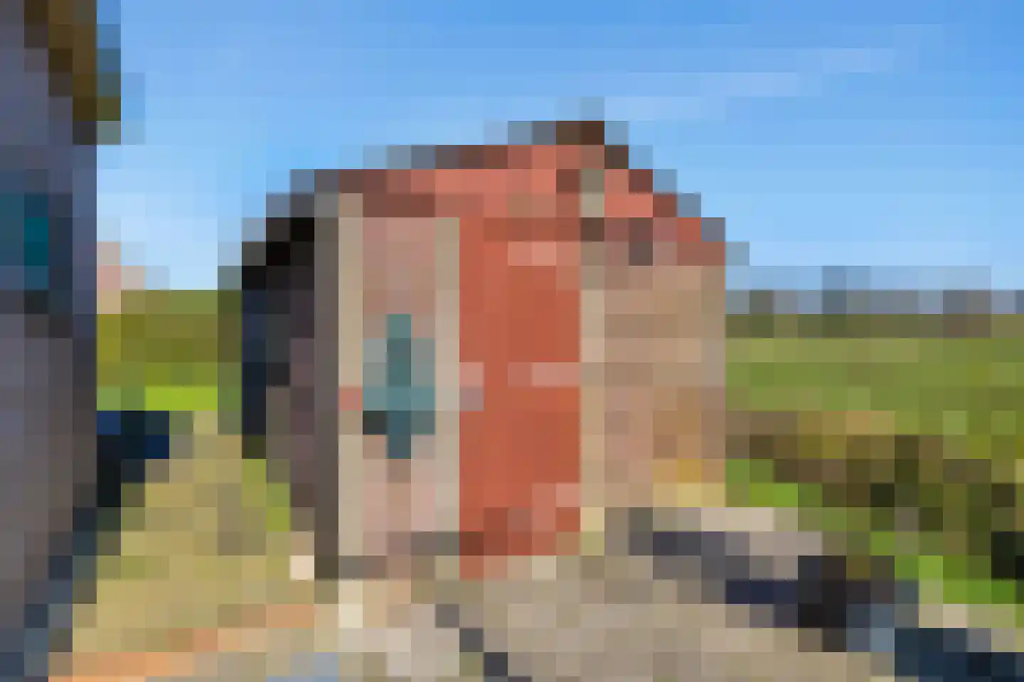 Oudelandsedijk 53 Abbenbroek thumbnail 32