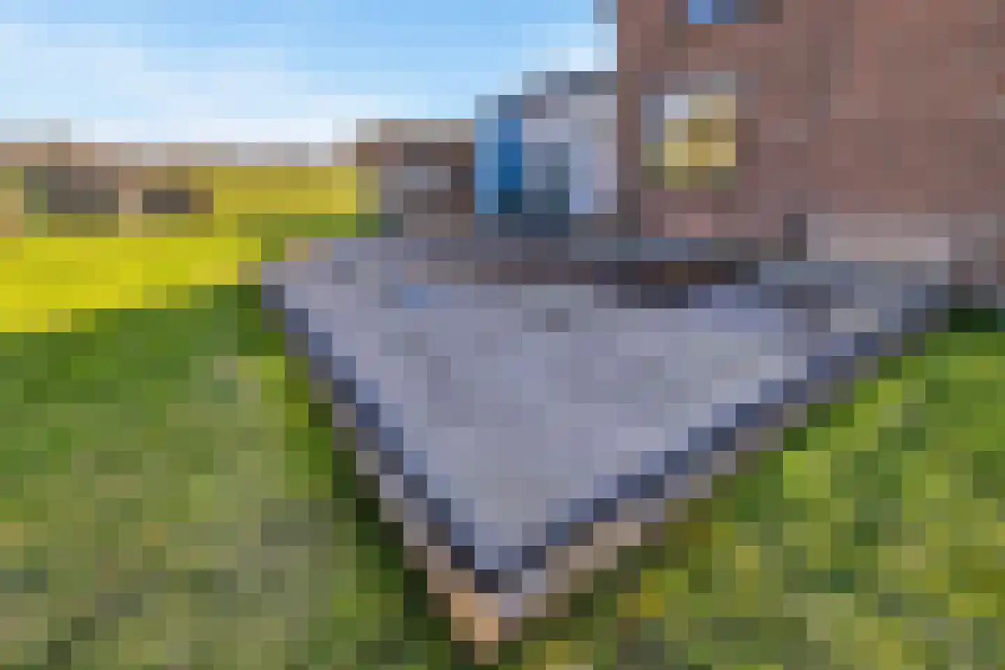 Oudelandsedijk 53 Abbenbroek thumbnail 34