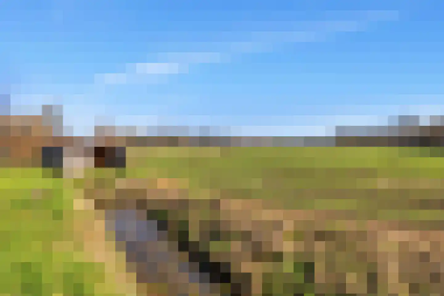 Oudelandsedijk 53 Abbenbroek thumbnail 35