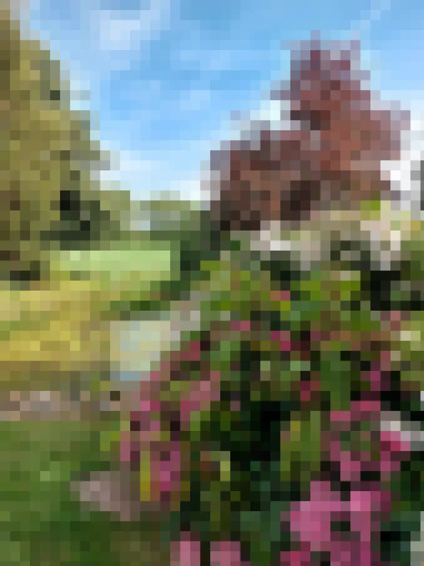 Oudelandsedijk 55 a Abbenbroek thumbnail 31