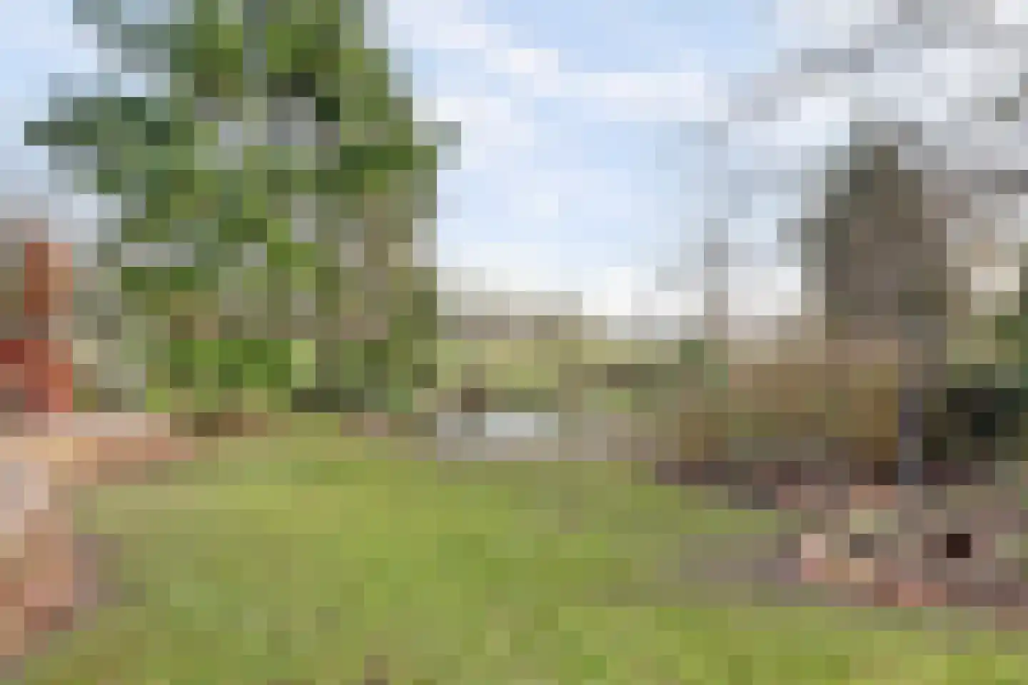 Oudelandsedijk 55 a Abbenbroek thumbnail 34
