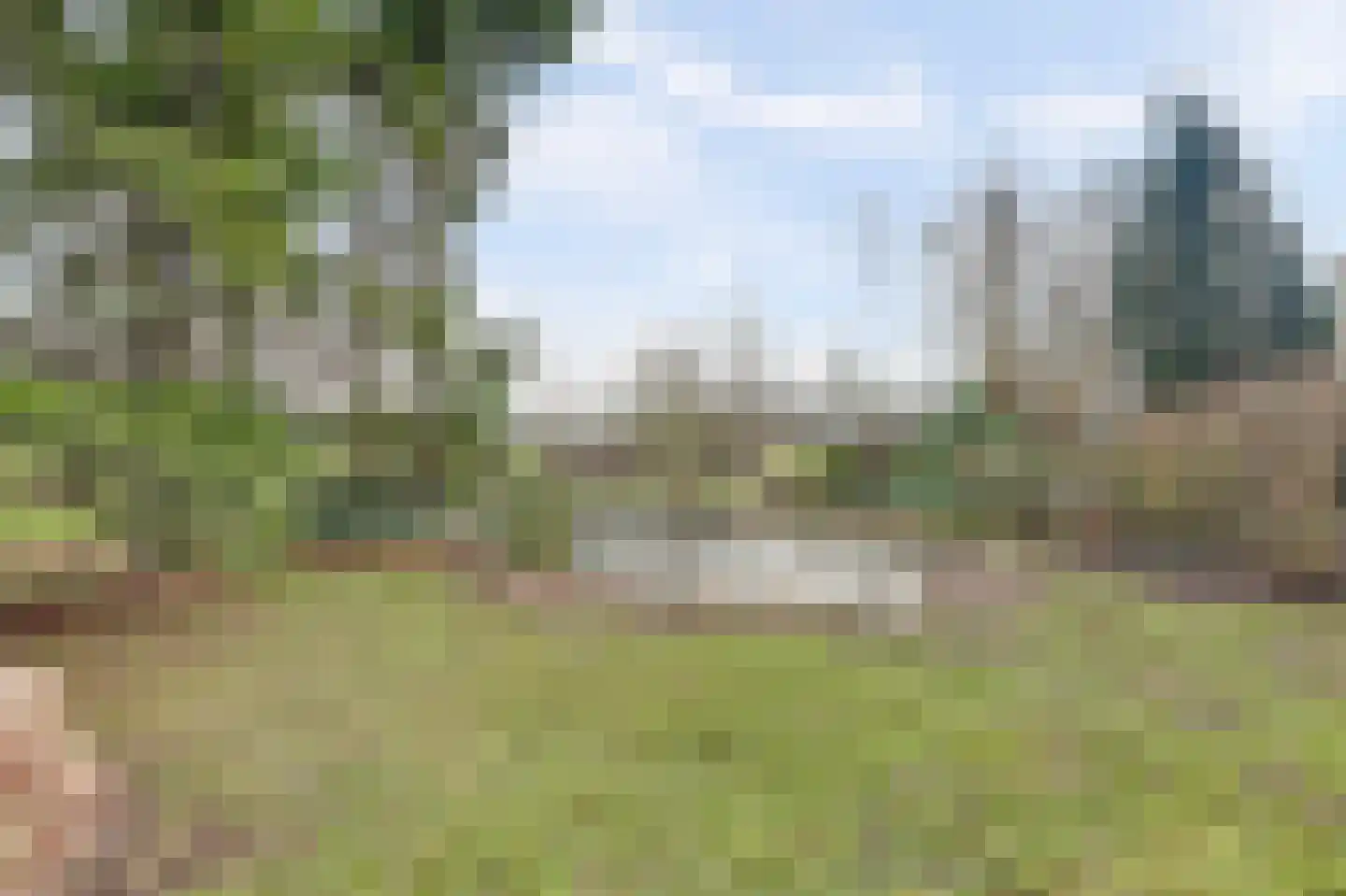 Oudelandsedijk 55 a Abbenbroek thumbnail 35