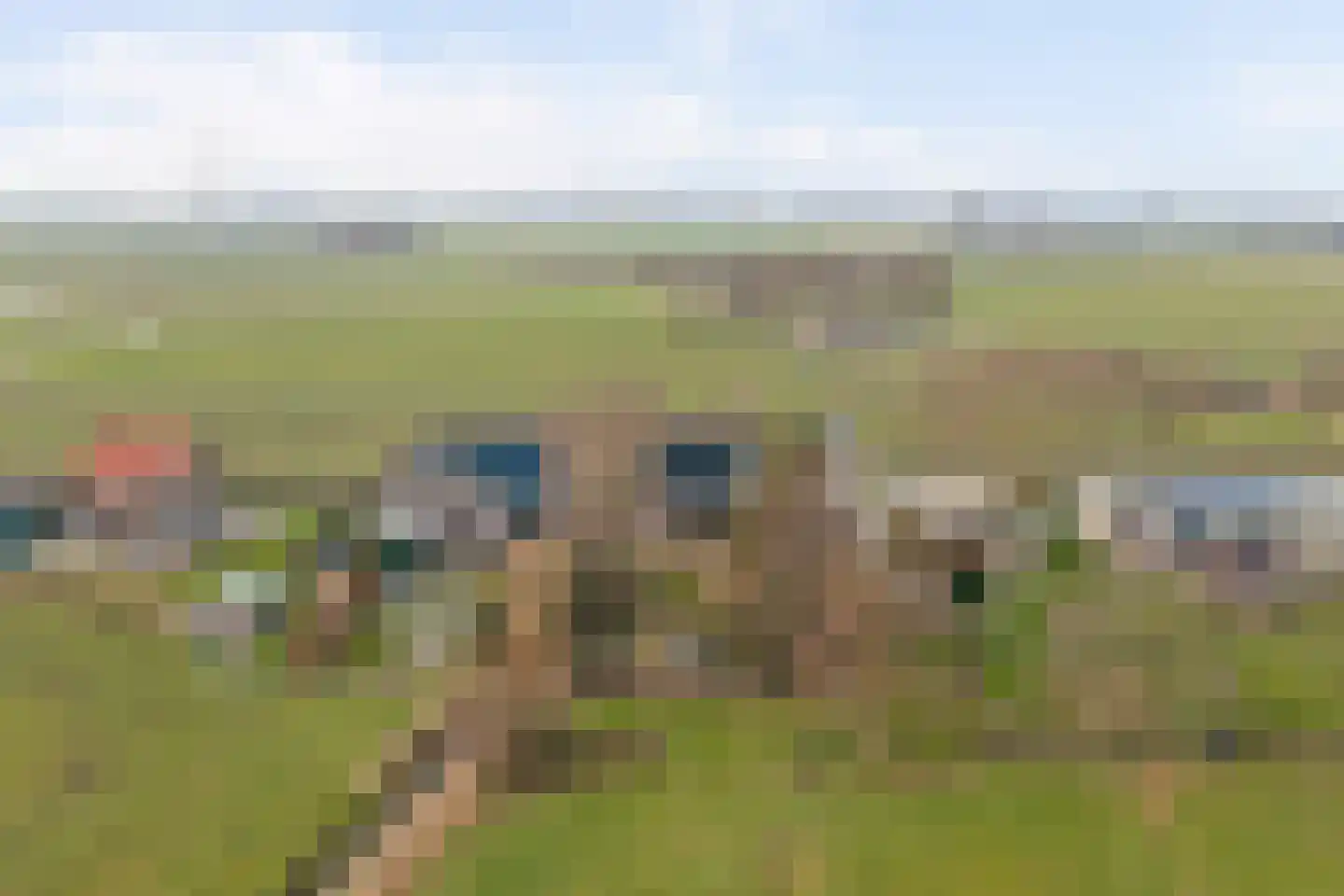 Oudelandsedijk 55 a Abbenbroek thumbnail 39
