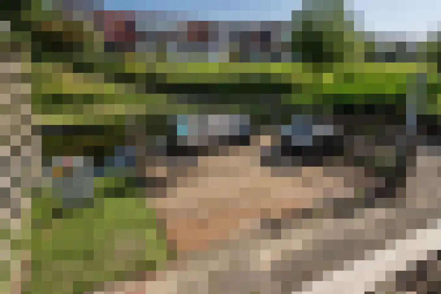 Oudelandsedijk 61 Sommelsdijk thumbnail 23