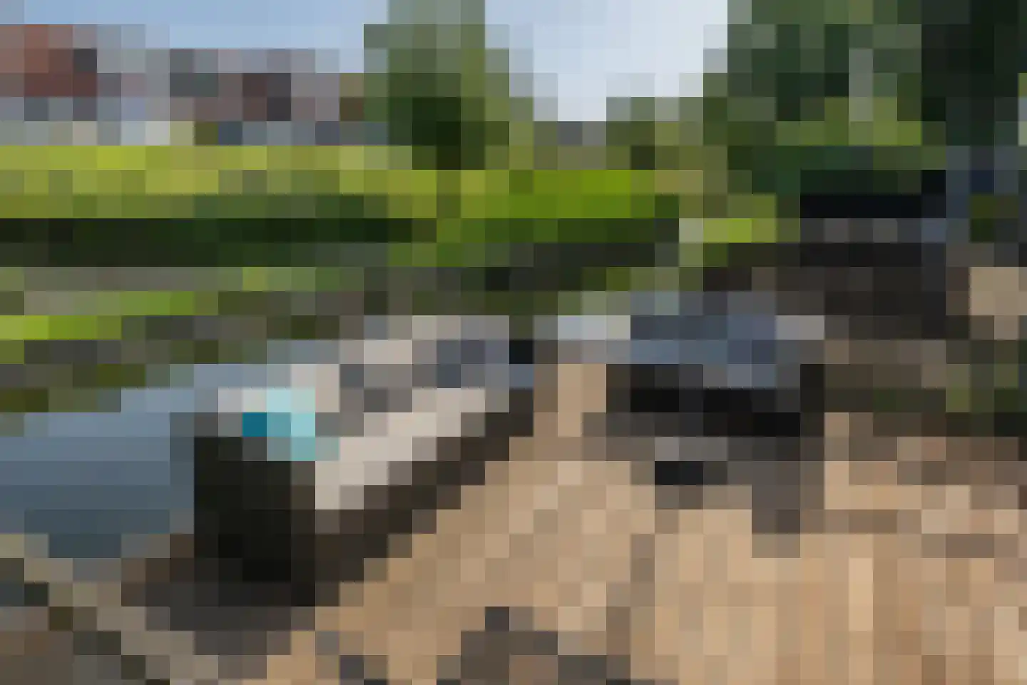 Oudelandsedijk 61 Sommelsdijk thumbnail 26