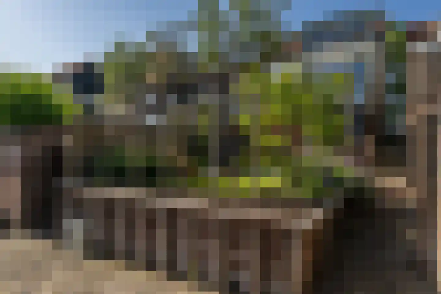 Oudelandsedijk 61 Sommelsdijk thumbnail 27
