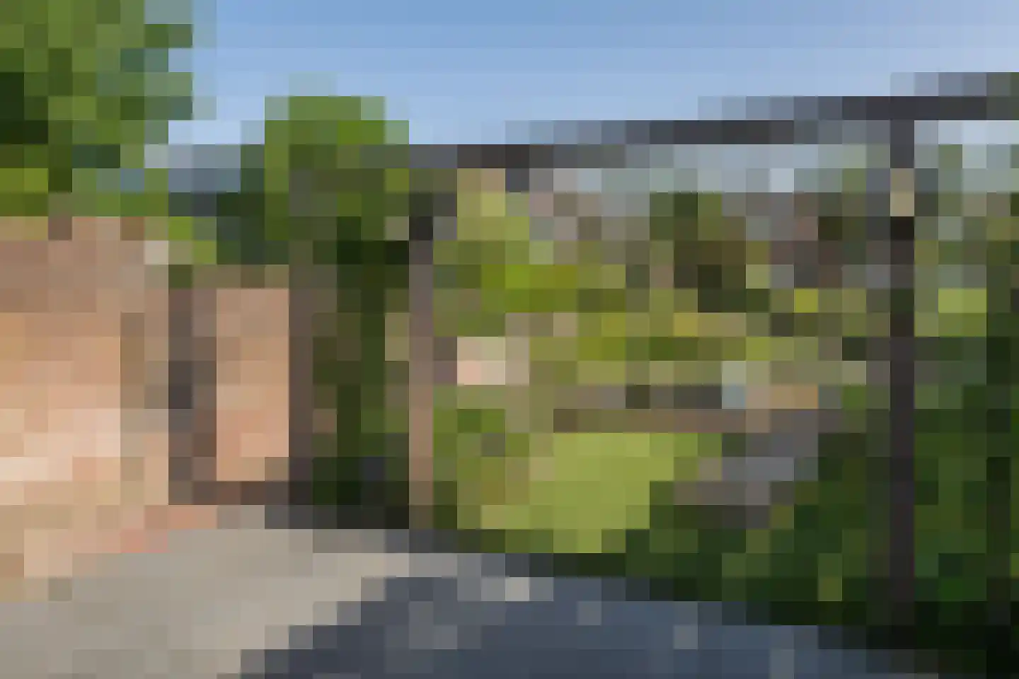 Oudelandsedijk 61 Sommelsdijk thumbnail 30