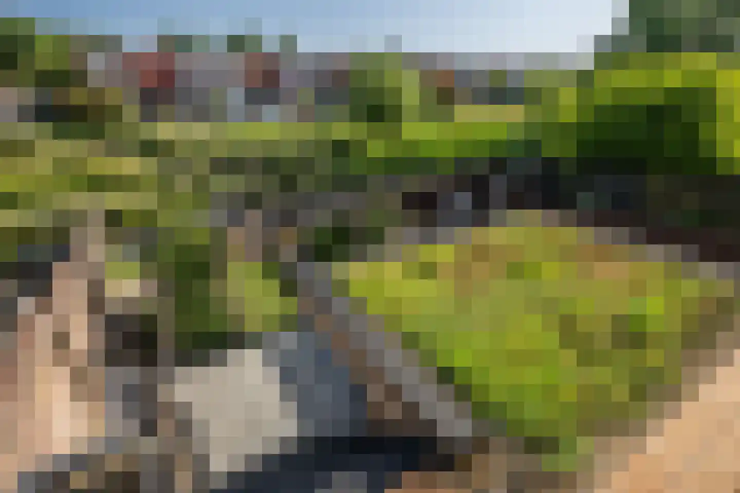 Oudelandsedijk 61 Sommelsdijk thumbnail 31