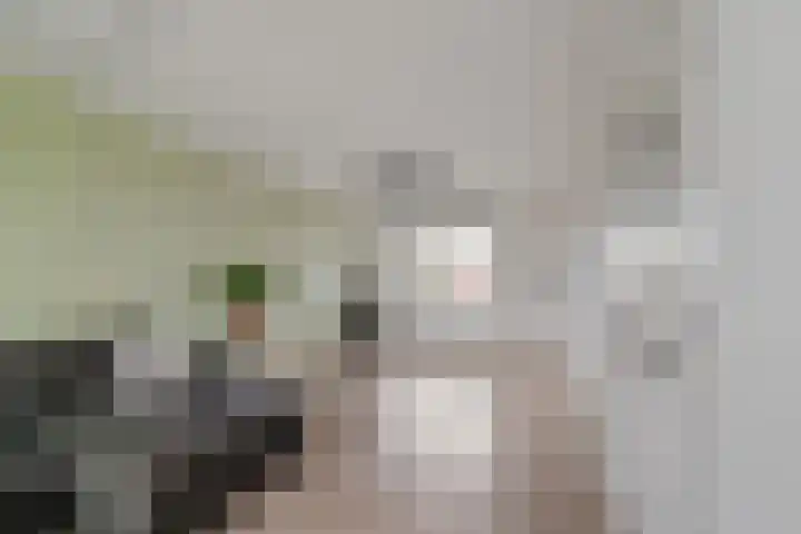 Oudelandsedijk 65 Sommelsdijk thumbnail 11