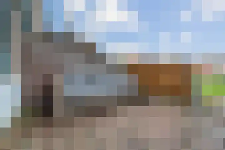 Oudelandsedijk 65 Sommelsdijk thumbnail 22