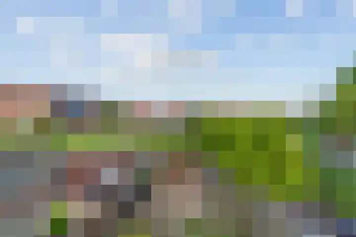 Oudelandsedijk 65 Sommelsdijk thumbnail 23