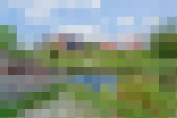 Oudelandsedijk 65 Sommelsdijk thumbnail 24