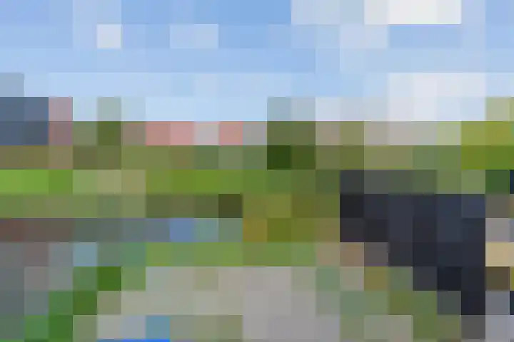 Oudelandsedijk 65 Sommelsdijk thumbnail 25