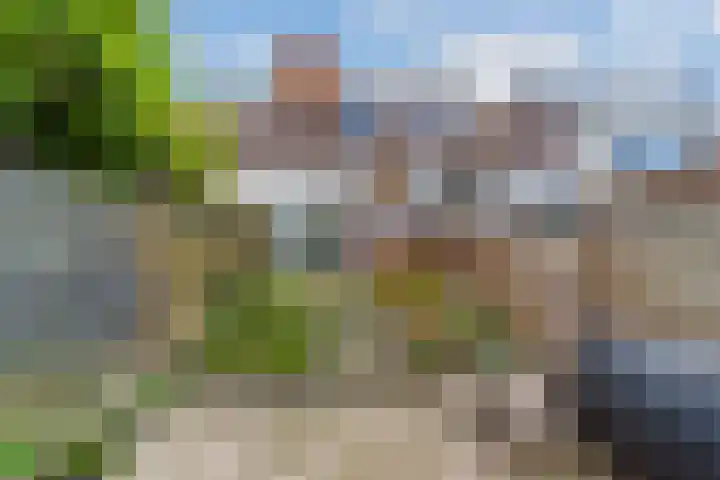 Oudelandsedijk 65 Sommelsdijk thumbnail 4