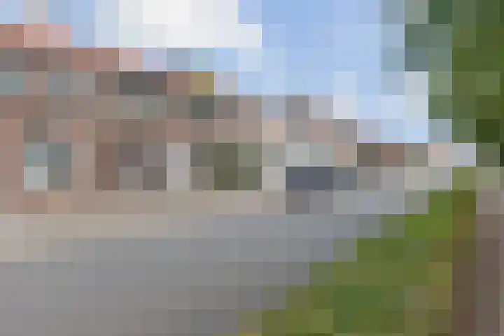 Oudelandsedijk 65 Sommelsdijk thumbnail 6