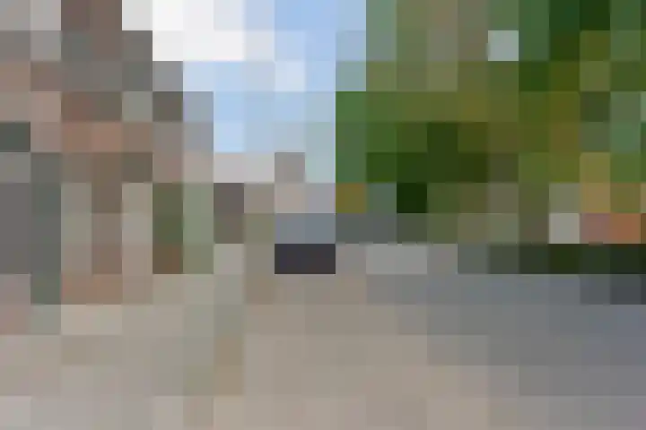 Oudelandsedijk 65 Sommelsdijk thumbnail 7