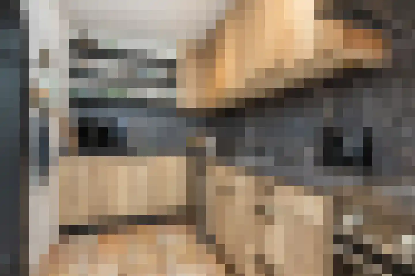 Oudelandsedijk 71 Sommelsdijk thumbnail 16