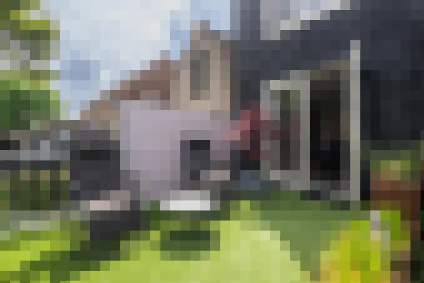 Oudelandsedijk 71 Sommelsdijk thumbnail 32