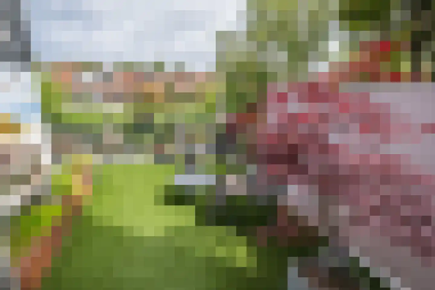 Oudelandsedijk 71 Sommelsdijk thumbnail 33