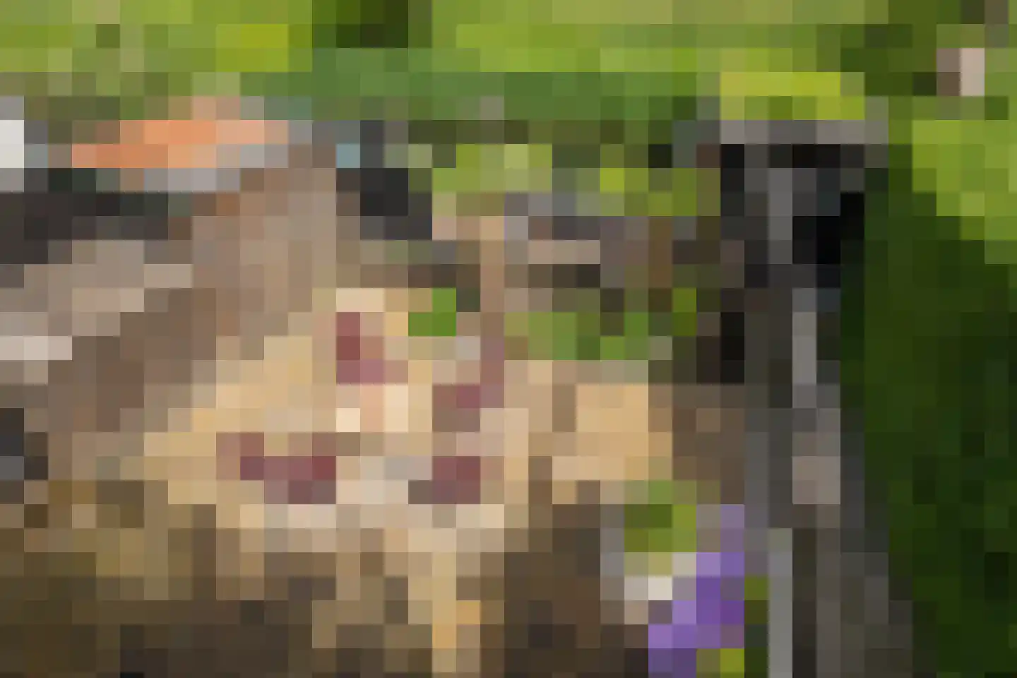 Oudelandsedijk 71 Sommelsdijk thumbnail 35