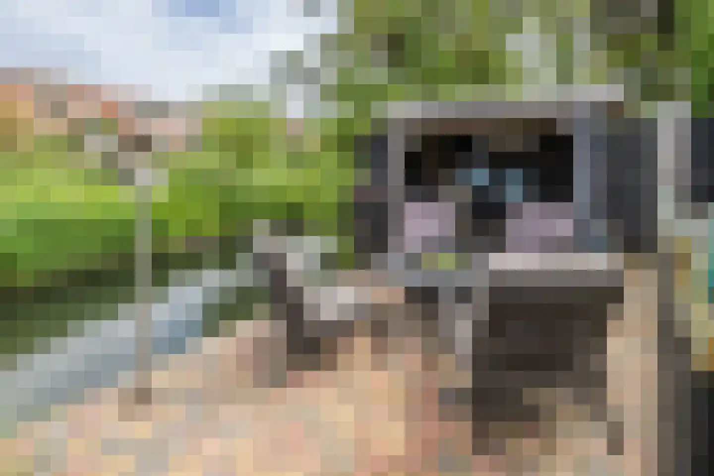 Oudelandsedijk 71 Sommelsdijk thumbnail 36