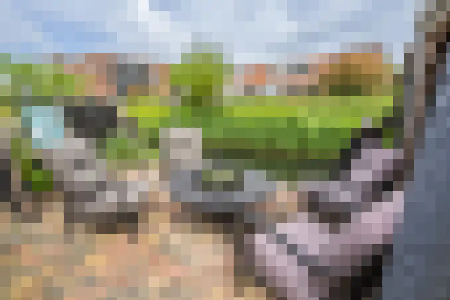 Oudelandsedijk 71 Sommelsdijk thumbnail 37