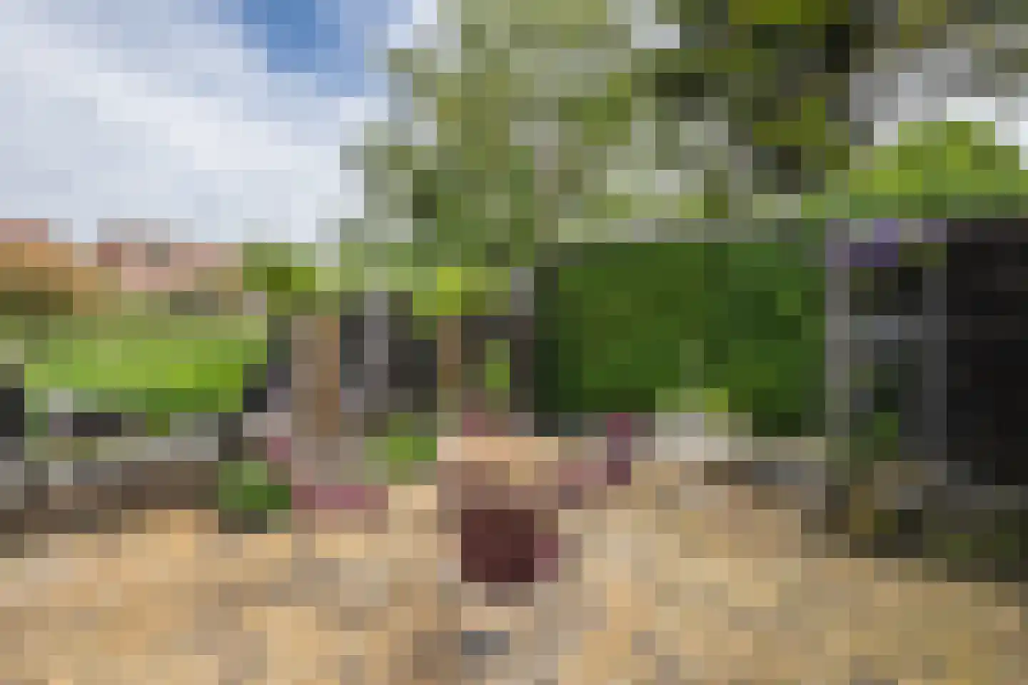 Oudelandsedijk 71 Sommelsdijk thumbnail 38