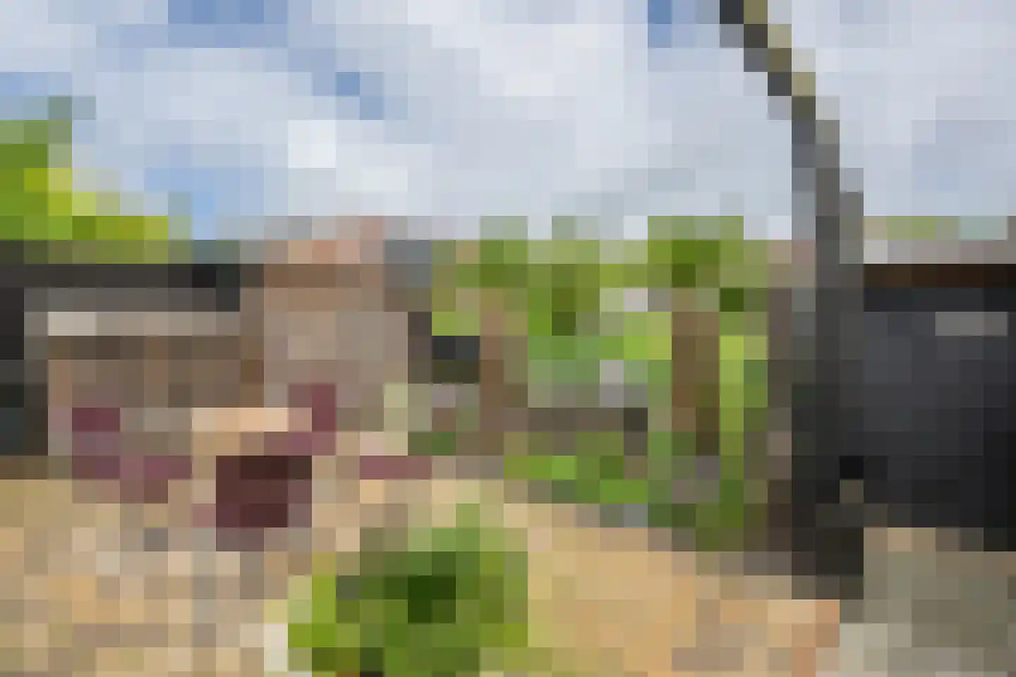 Oudelandsedijk 71 Sommelsdijk thumbnail 39