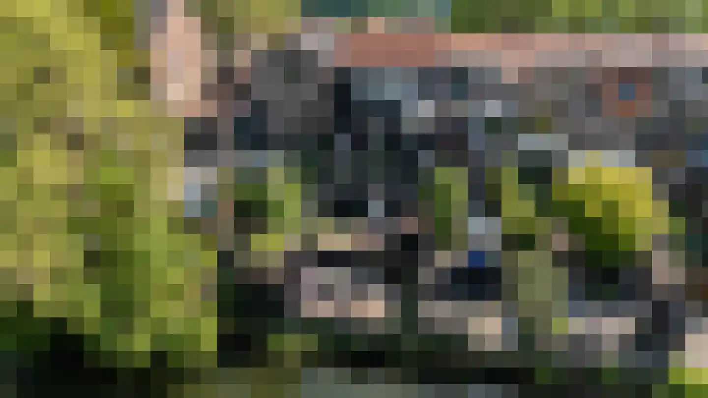 Oudelandsedijk 71 Sommelsdijk thumbnail 4