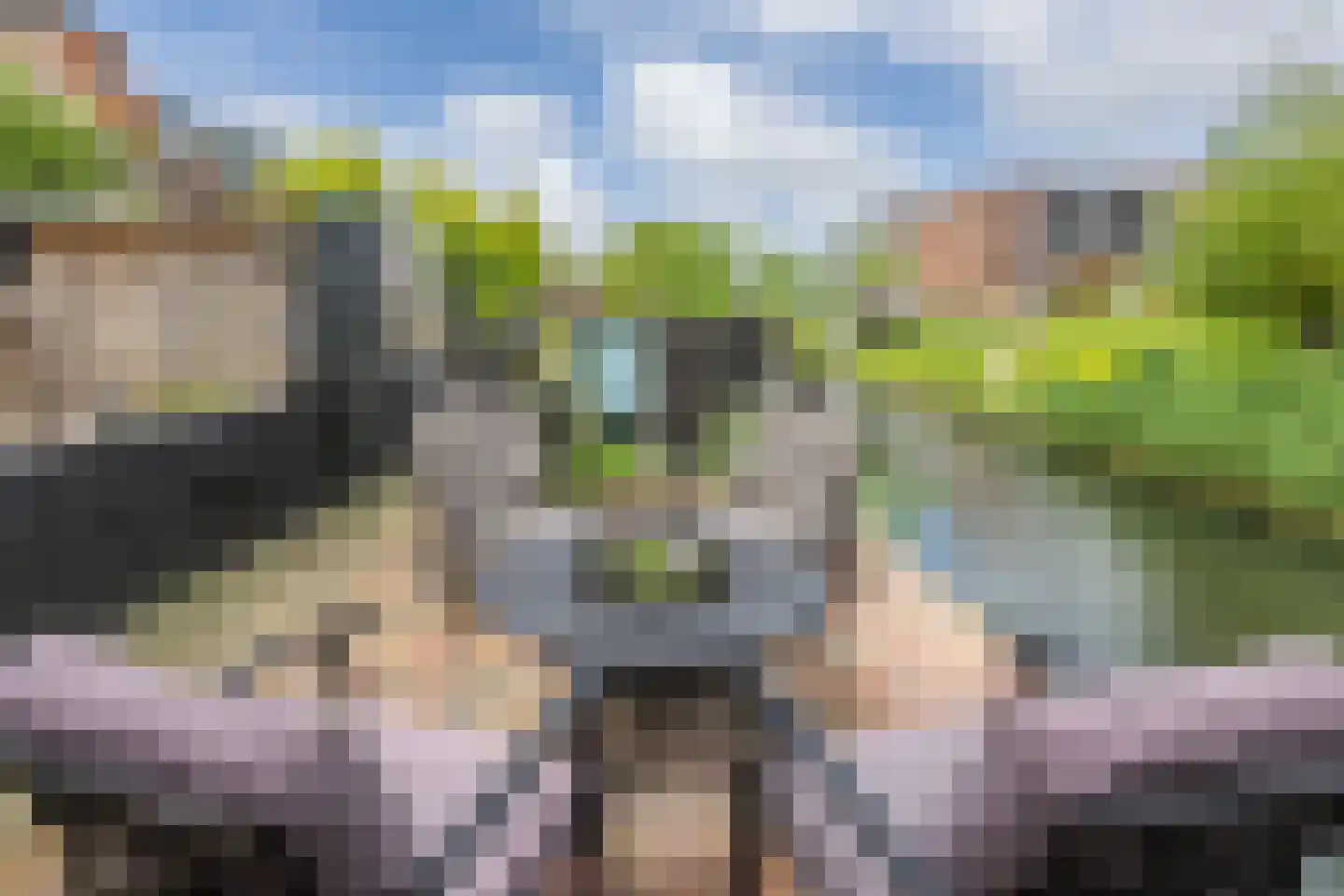 Oudelandsedijk 71 Sommelsdijk thumbnail 5