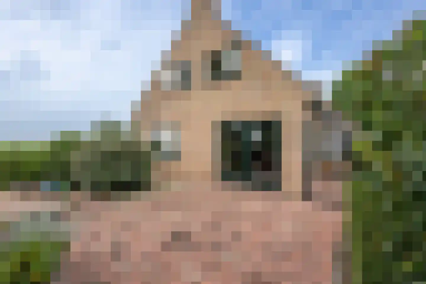 Oudelandsedijk 8 Oude-Tonge thumbnail 33