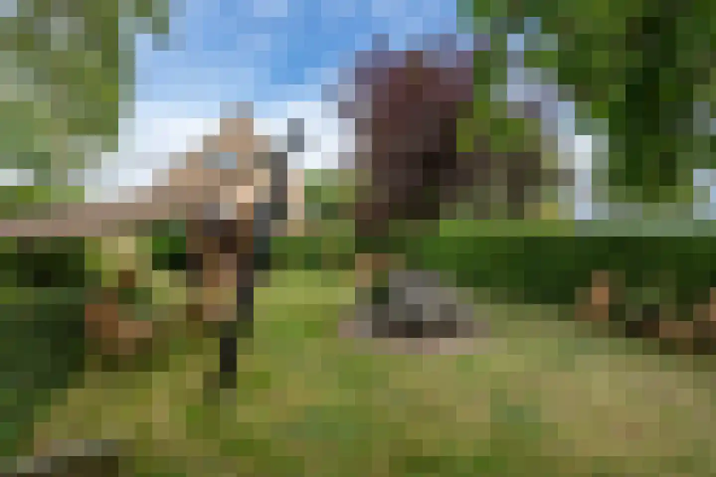Oudelandsedijk 8 Oude-Tonge thumbnail 34