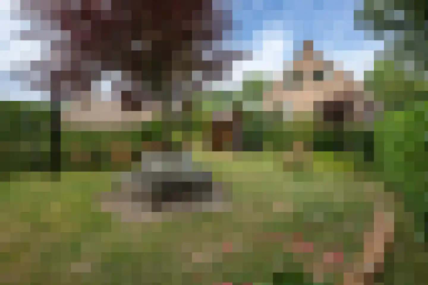 Oudelandsedijk 8 Oude-Tonge thumbnail 35