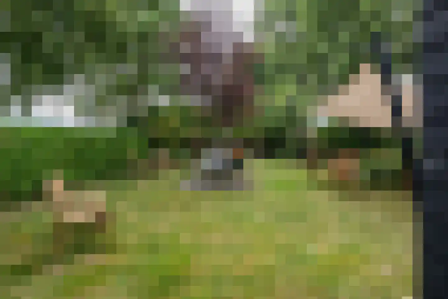 Oudelandsedijk 8 Oude-Tonge thumbnail 37