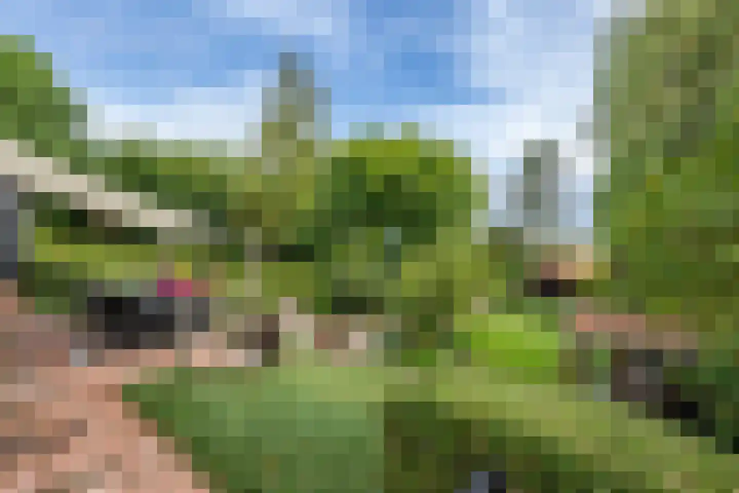 Oudelandsedijk 8 Oude-Tonge thumbnail 39