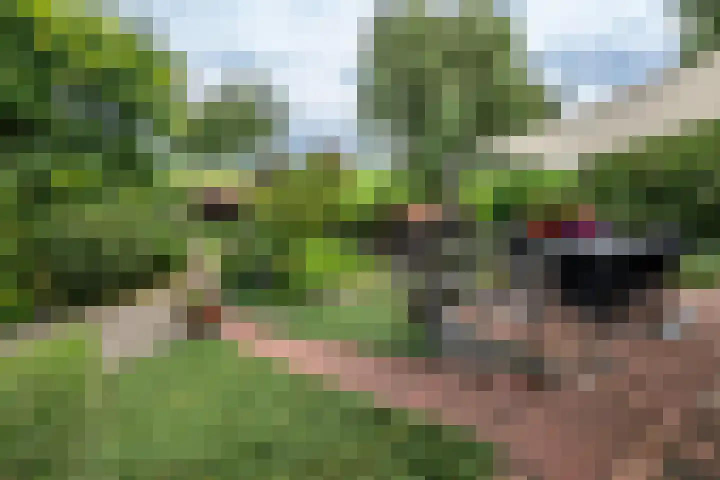 Oudelandsedijk 8 Oude-Tonge thumbnail 40