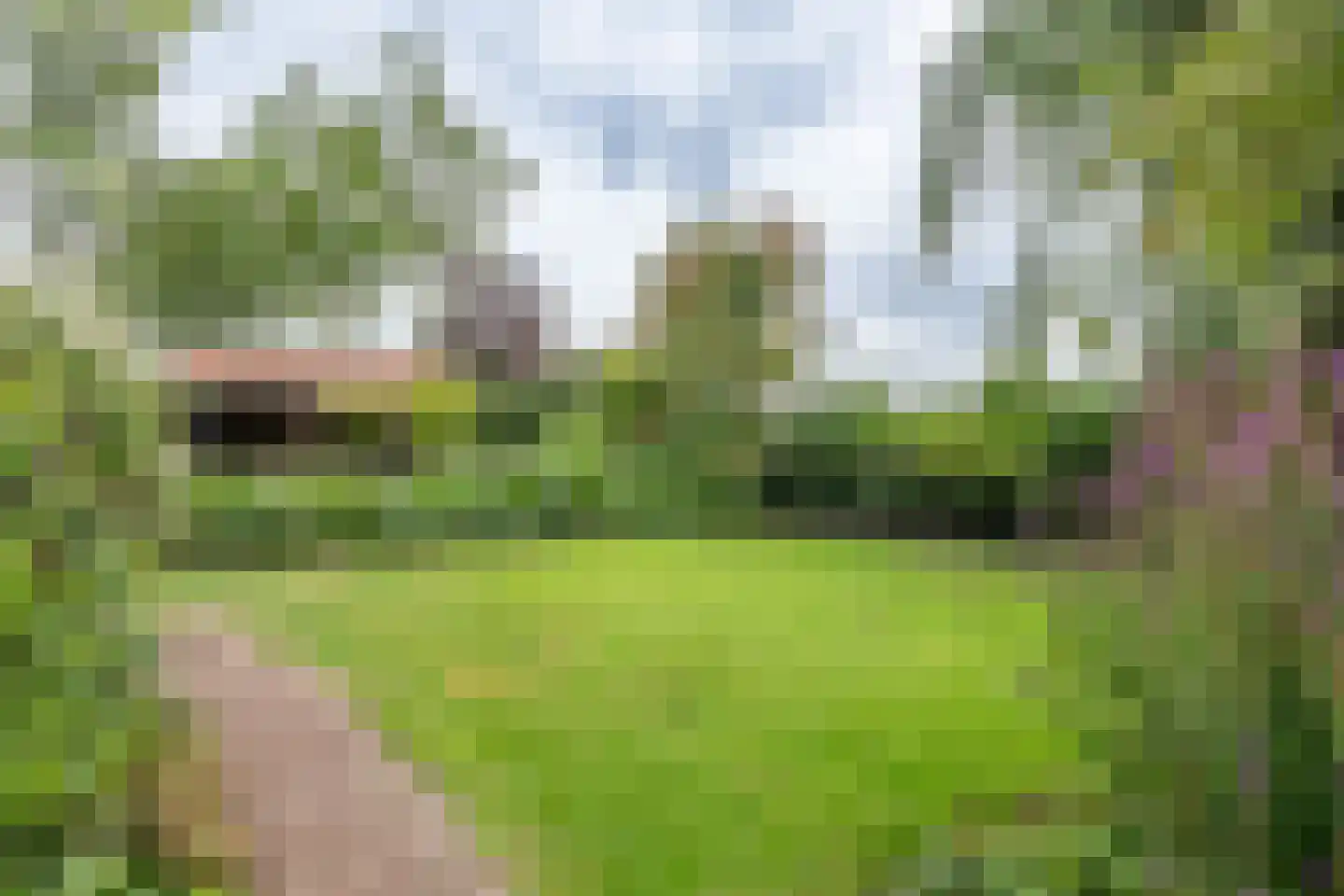Oudelandsedijk 8 Oude-Tonge thumbnail 42