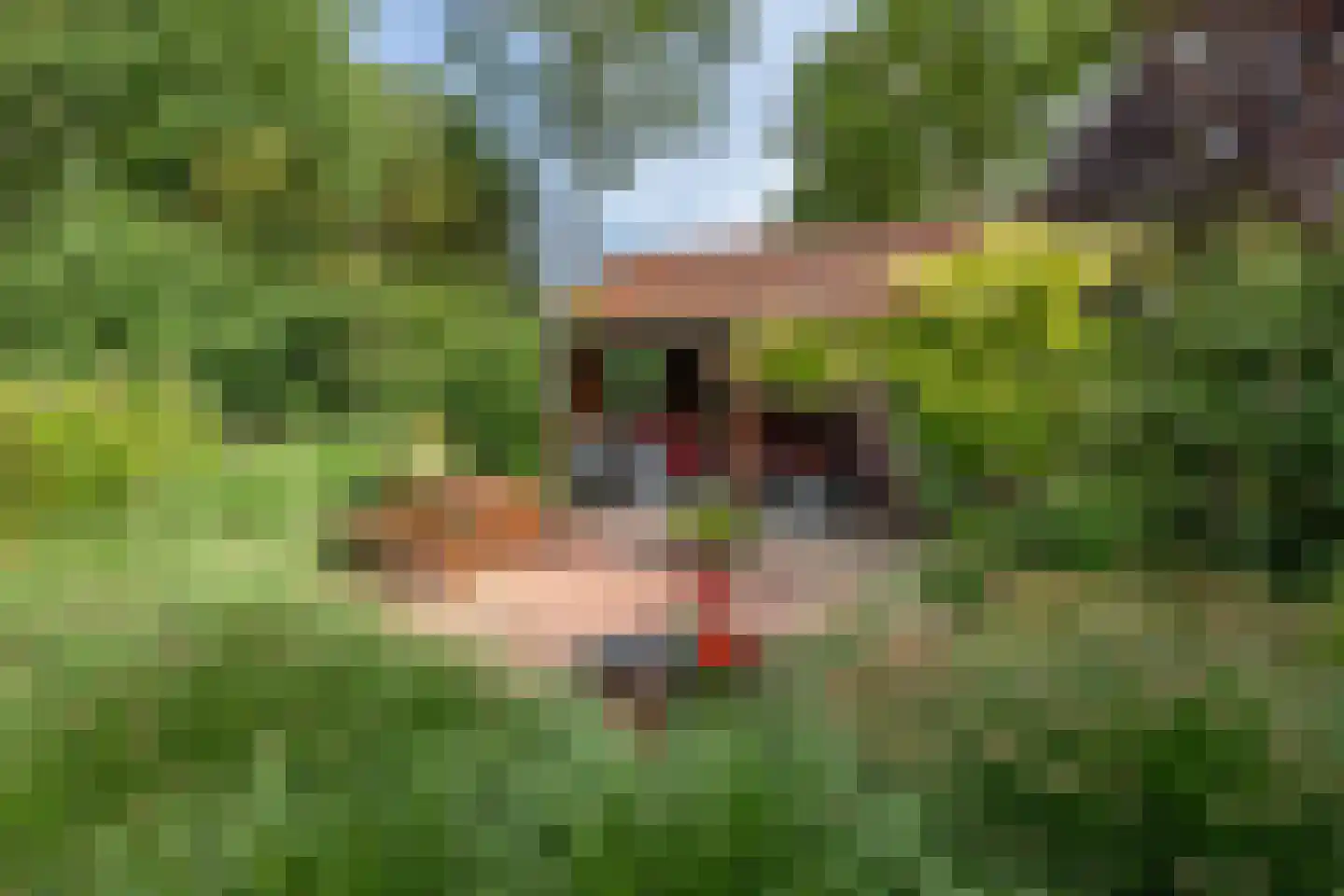 Oudelandsedijk 8 Oude-Tonge thumbnail 43