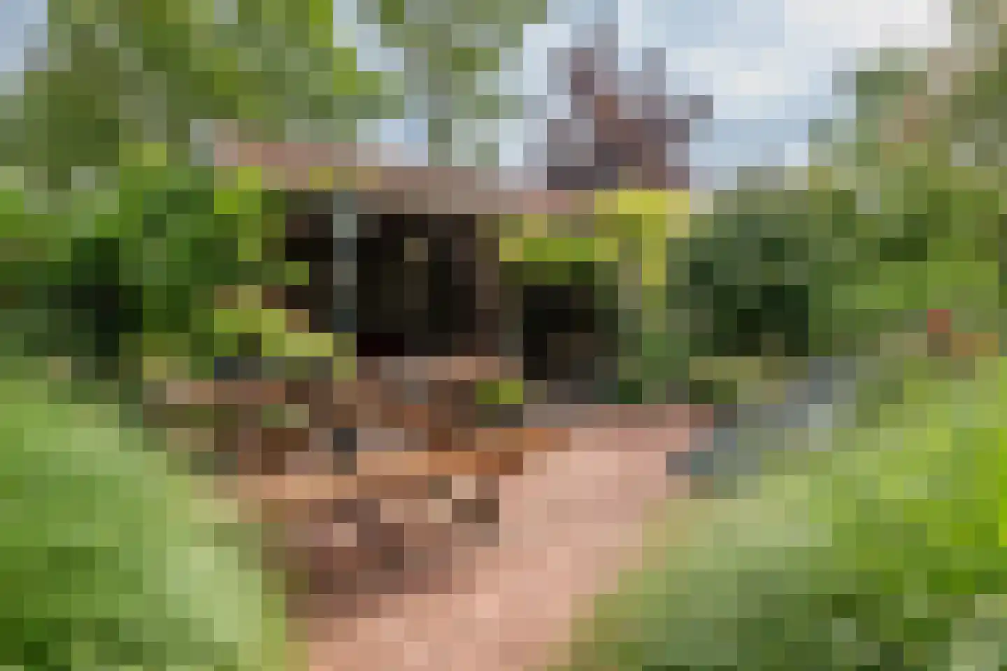 Oudelandsedijk 8 Oude-Tonge thumbnail 44