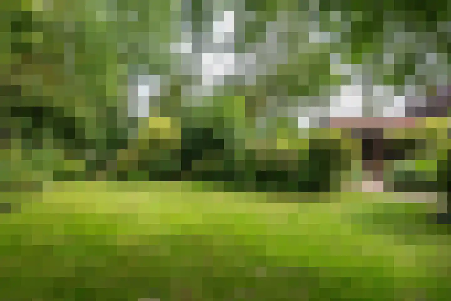 Oudelandsedijk 8 Oude-Tonge thumbnail 45