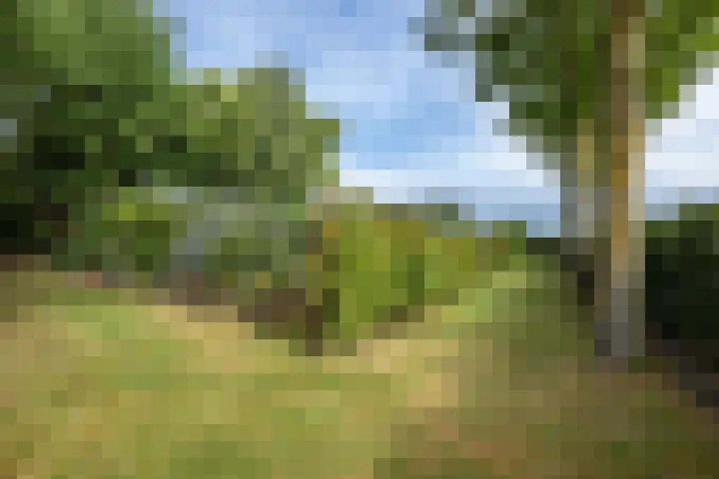 Oudelandsedijk 8 Oude-Tonge thumbnail 46