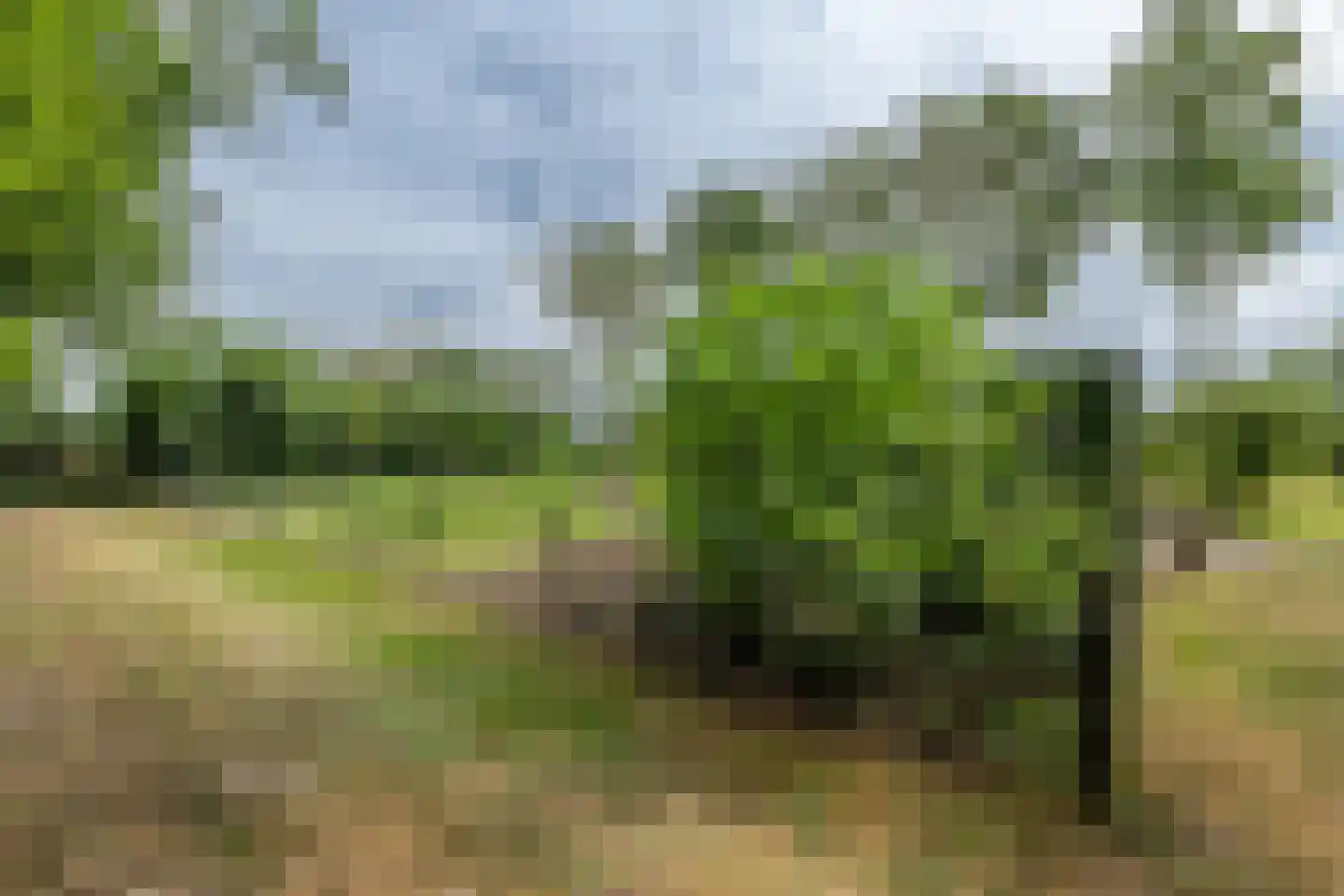 Oudelandsedijk 8 Oude-Tonge thumbnail 47