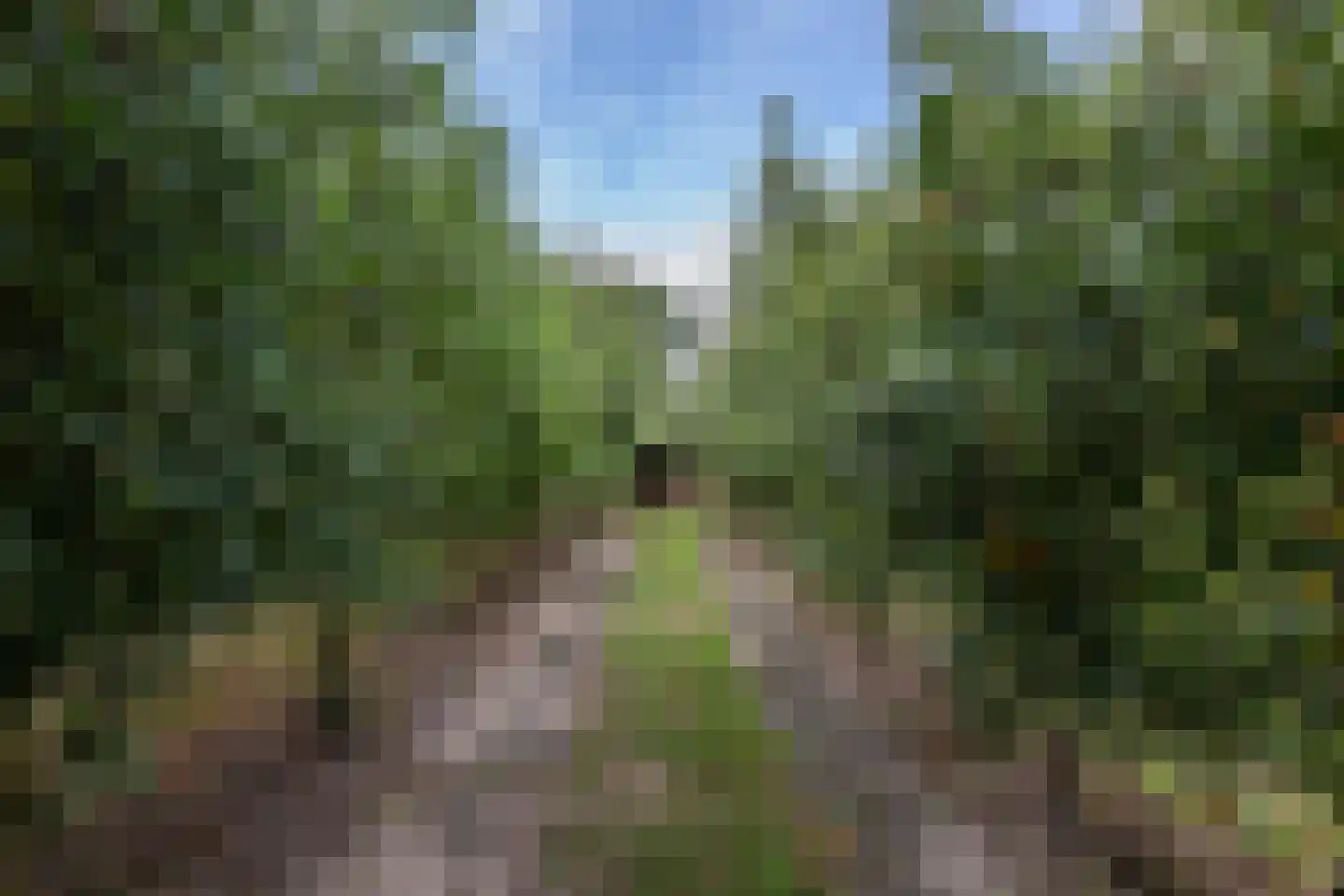 Oudelandsedijk 8 Oude-Tonge thumbnail 48