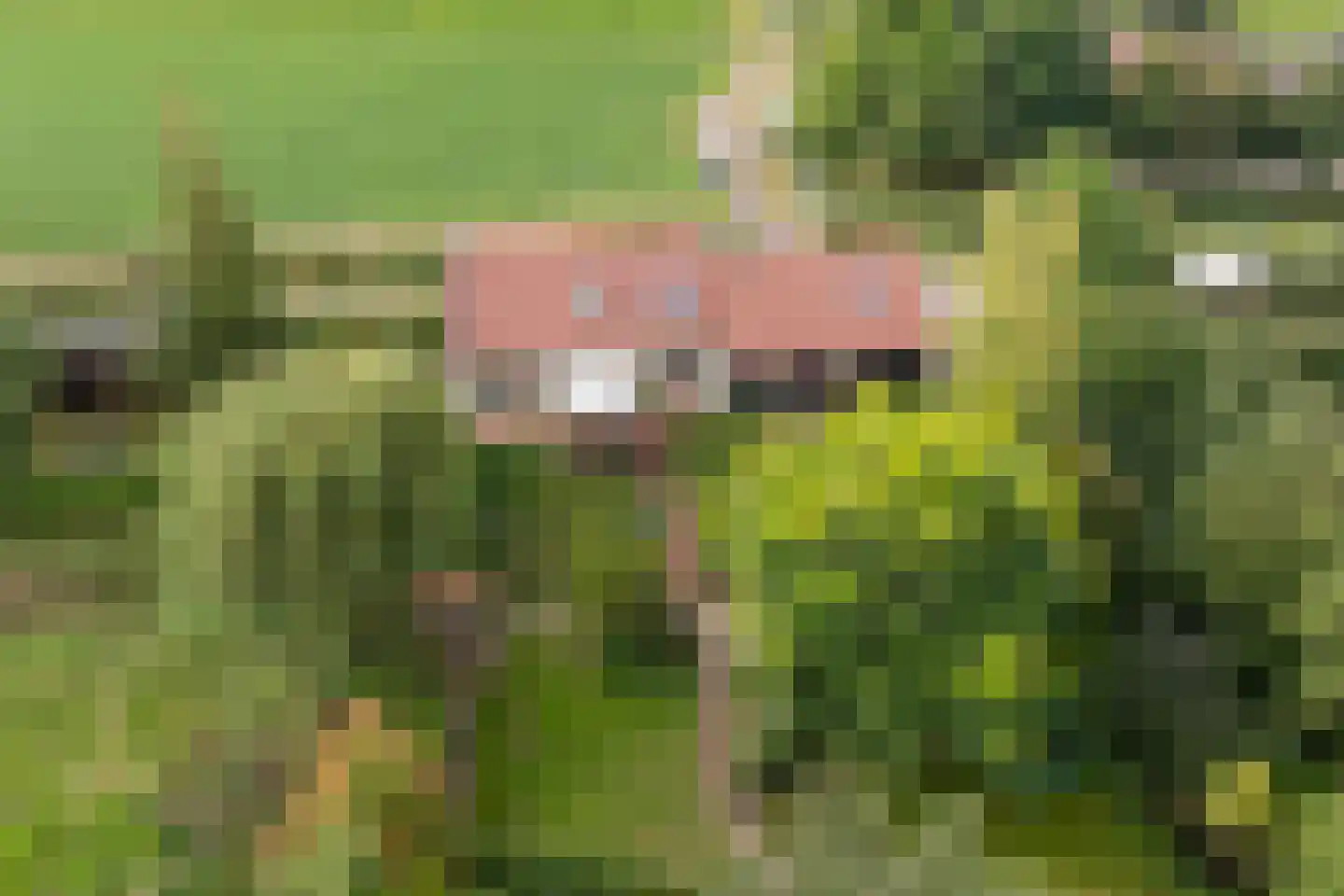 Oudelandsedijk 8 Oude-Tonge thumbnail 50
