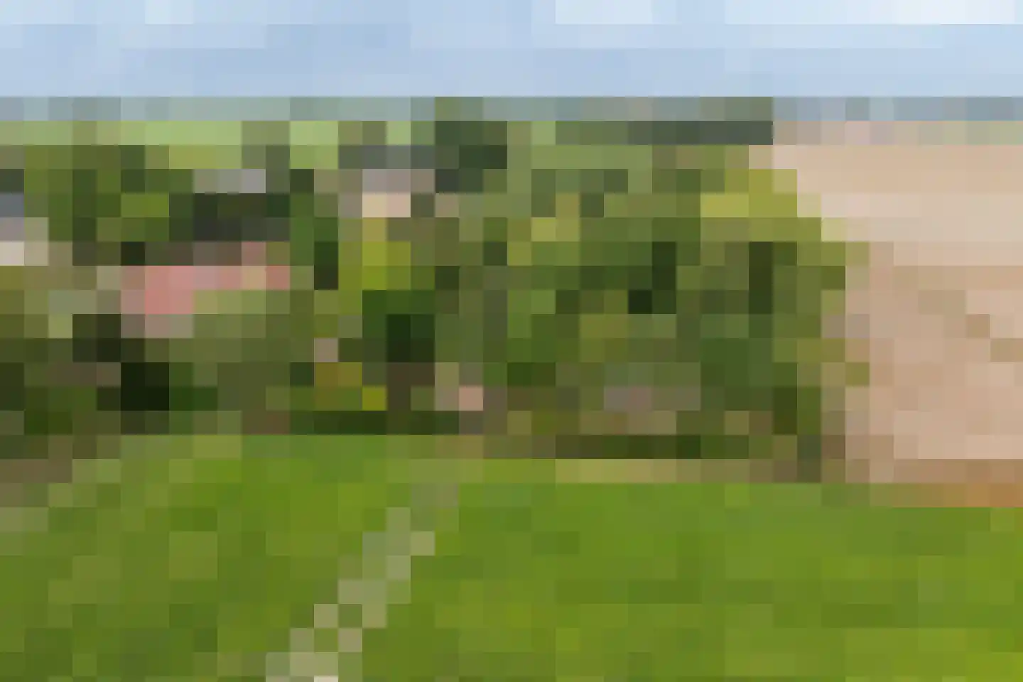 Oudelandsedijk 8 Oude-Tonge thumbnail 52