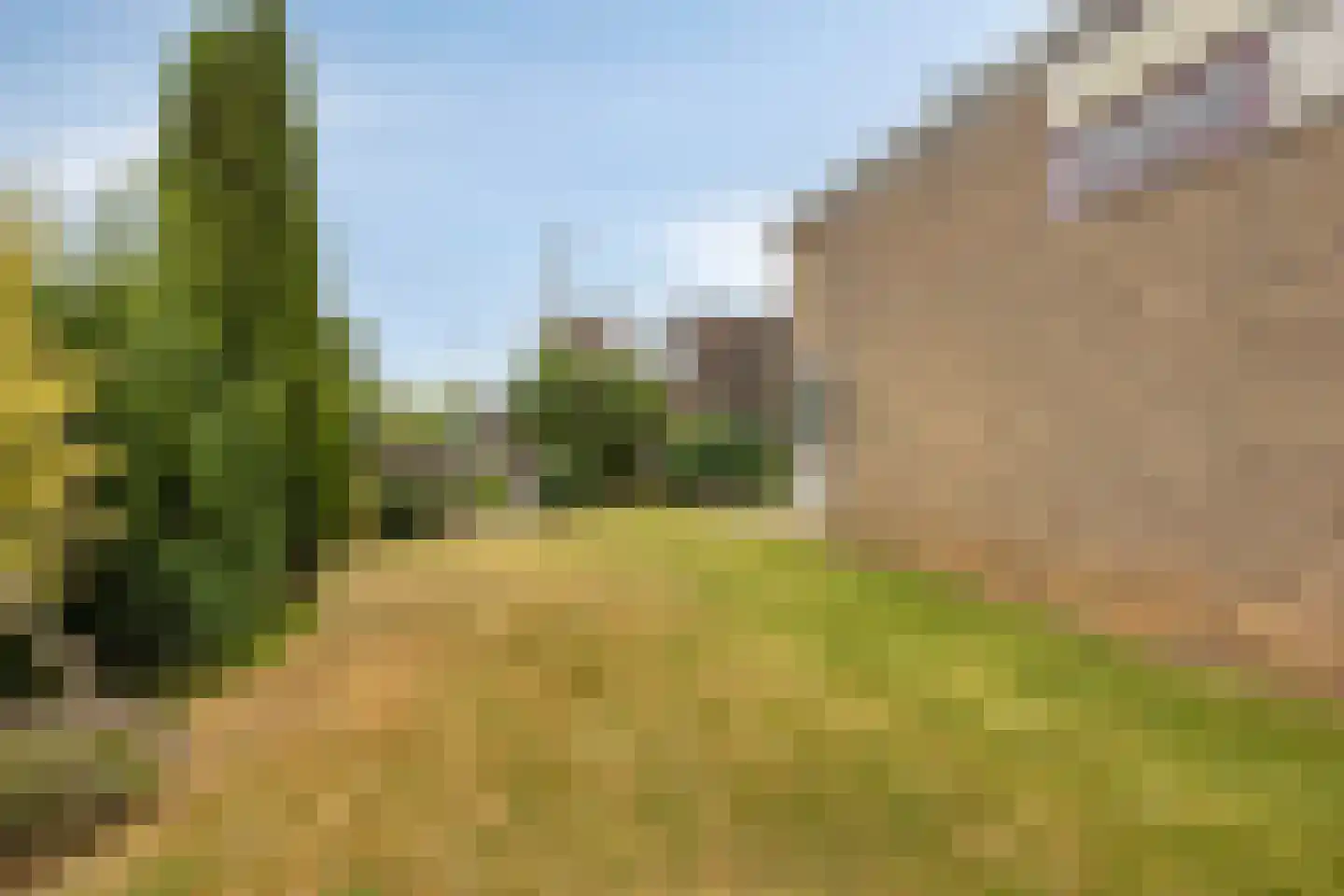 Oudelandsedijk 83 Sommelsdijk thumbnail 23